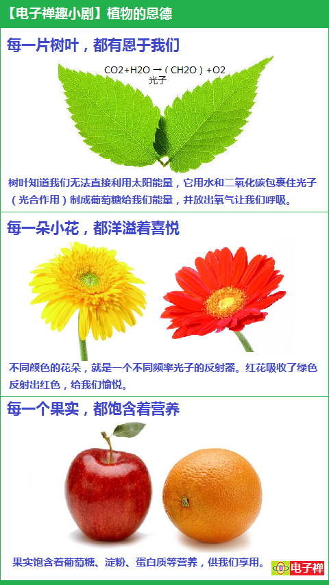 【电子禅趣小剧】植物的恩德 
