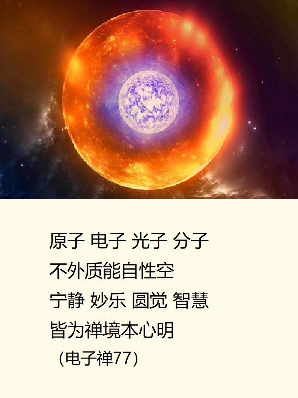 【电子禅辑】