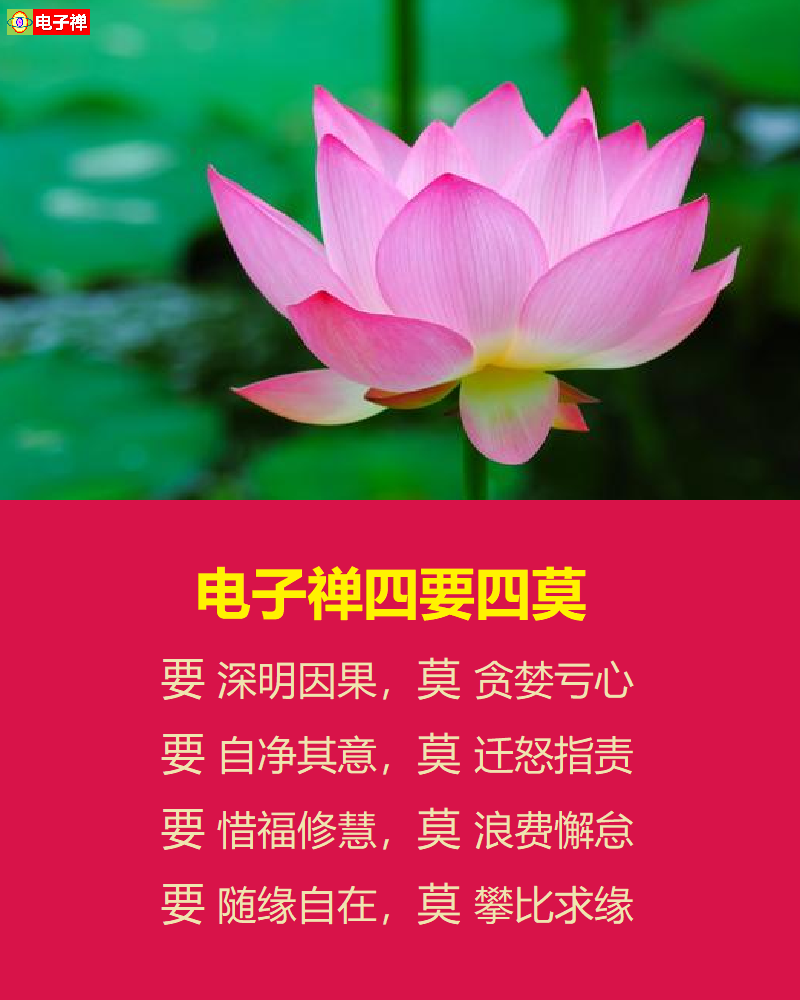 【电子禅辑】